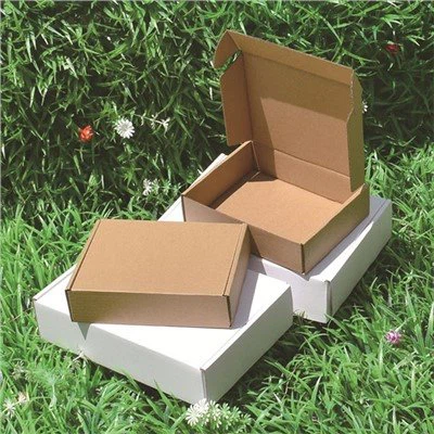 Brun Kraft Mailer Box